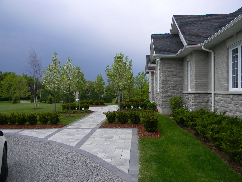 Ornamental pear trees and Dense yews