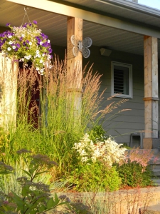 Karl Foerster feather reed grass, astilbe