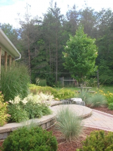 Blue oat grass, bridal veil astilbe, ivory silk tree