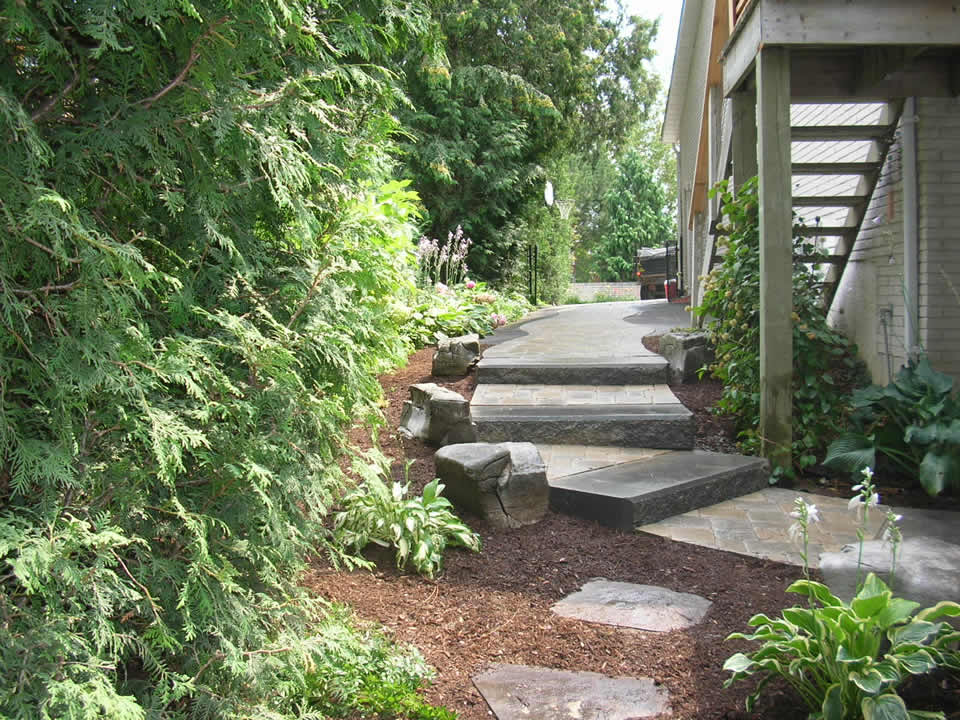 Sienna steps, hosta, cedar hedge