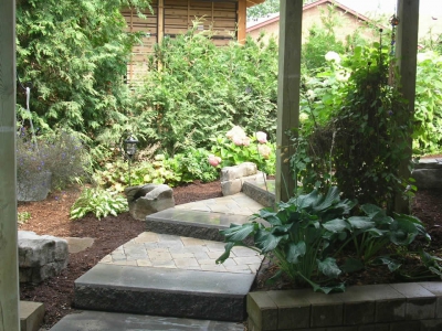 Sienna steps, hosta, cedar hedge